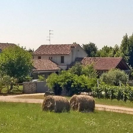 Bed and Breakfast Il Giuggiolo Конельяно Экстерьер фото