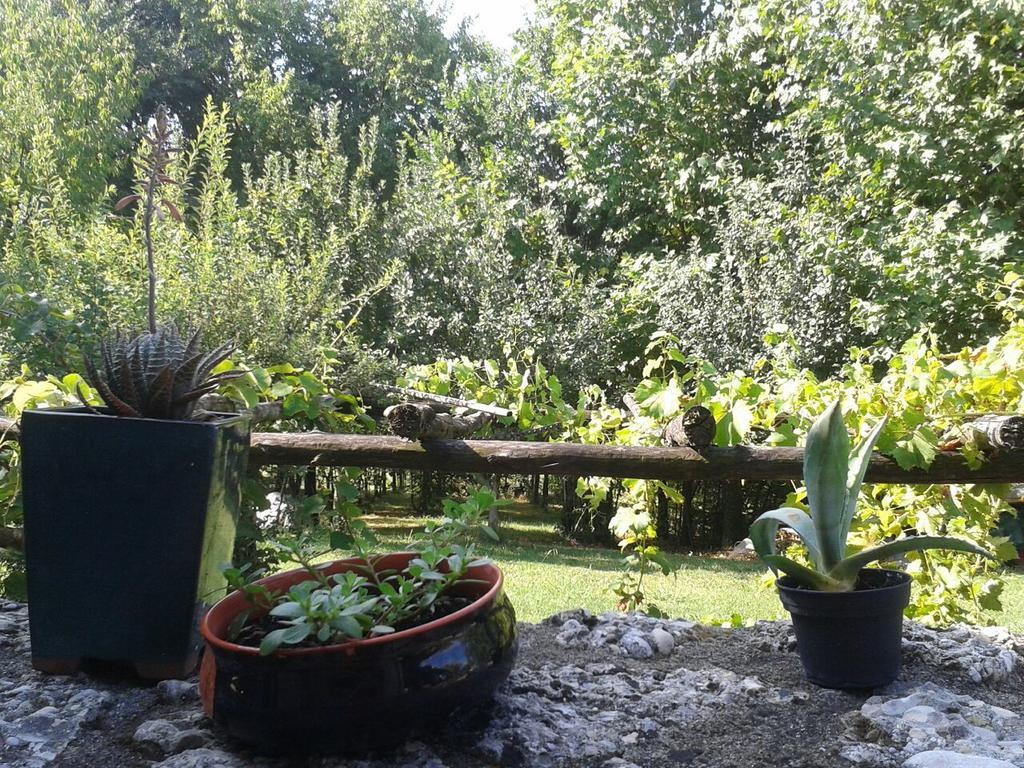 Bed and Breakfast Il Giuggiolo Конельяно Экстерьер фото