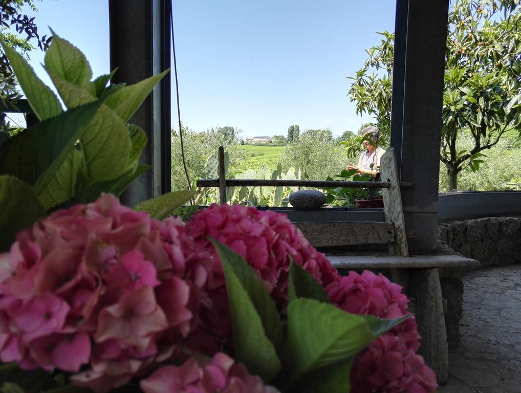 Bed and Breakfast Il Giuggiolo Конельяно Экстерьер фото