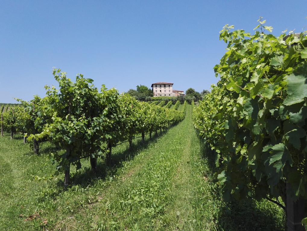 Bed and Breakfast Il Giuggiolo Конельяно Экстерьер фото